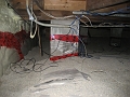 Cables in Crawlspace 001